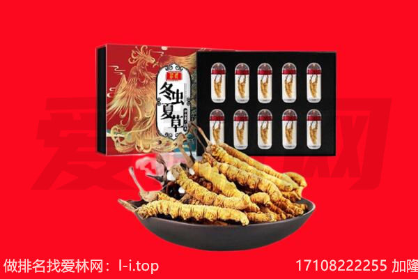 兴义市回收虫草.jpg